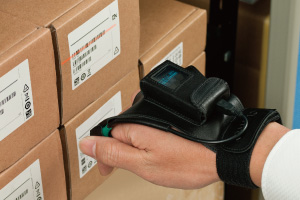 RɎgutBK[gKO[uviIvVj